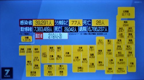 04/17　　星置緑地でミズバショウ・キクザキイチゲ       COVID-19感染者39,291・死者26人_c0183777_20172629.jpg