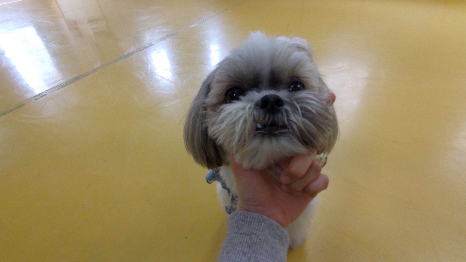 保育園ブログ🥰_f0357682_16345216.jpg