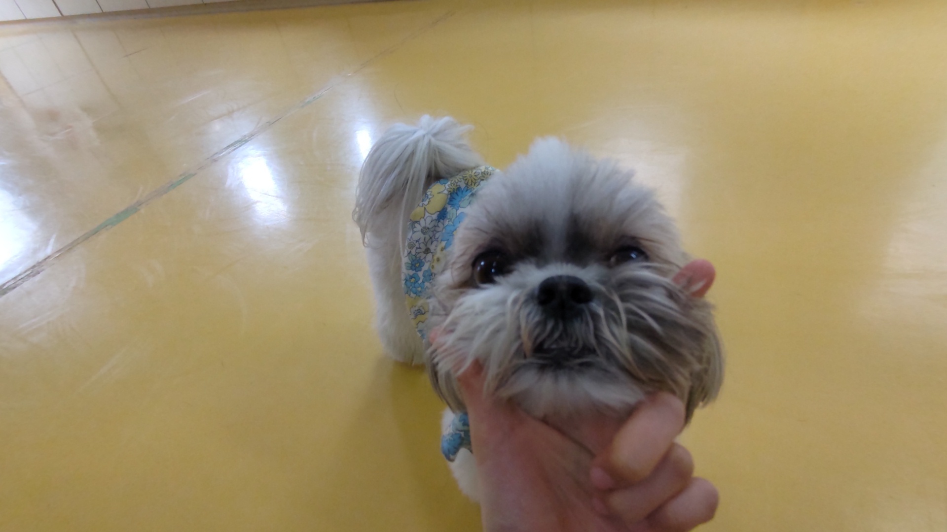 保育園ブログ🥰_f0357682_16364598.jpg