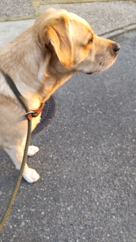 保育園ブログ🥰_f0357682_16384087.jpg
