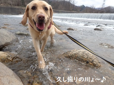 雪も好き。川も好き。_c0182012_12521636.jpg