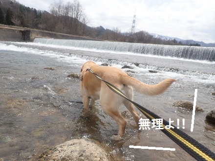 雪も好き。川も好き。_c0182012_12521847.jpg