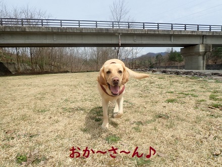 雪も好き。川も好き。_c0182012_12522126.jpg