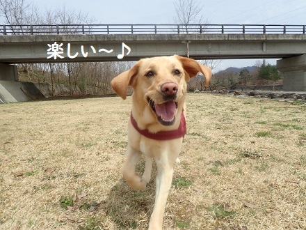 雪も好き。川も好き。_c0182012_12522364.jpg