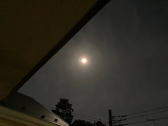 ピンクムーンさん、ありがとう_e0208519_09084294.jpg