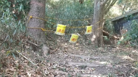 旧全縦路&より高き尾根の踏み跡を辿る 塩屋~高取山_c0218841_09254017.jpg