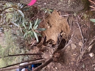 甲武信小屋　小屋明けに入りました_c0369344_10092597.jpeg