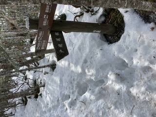 甲武信小屋　小屋明けに入りました_c0369344_10100889.jpeg