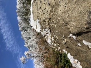 甲武信小屋　小屋明けに入りました_c0369344_10122616.jpeg
