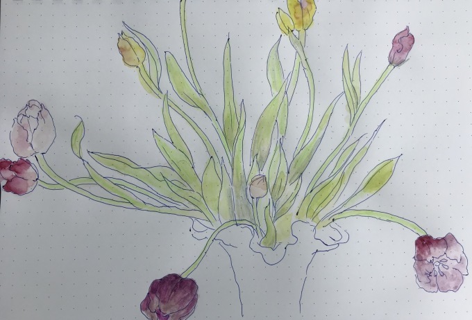 茎が伸びゆくチューリップ_d0101846_07454877.jpeg