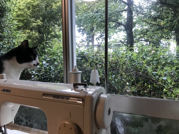 雨の日は部屋の中で_d0101846_18154946.jpeg