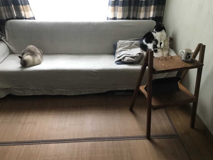 雨の日は部屋の中で_d0101846_18160161.jpeg