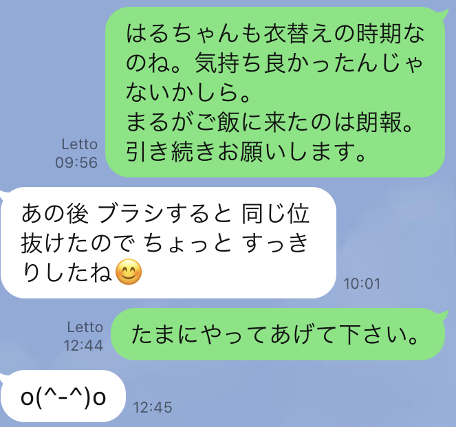 はるの近況:春だから母がやりたかった事_a0136671_00175107.jpeg