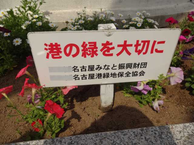 名古屋港水族館前花壇の植栽R4.4.11_d0338682_07593266.jpg
