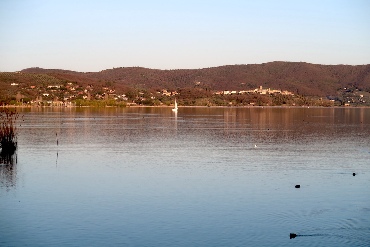 水鳥と風景眺め船を待つポルヴェーセ島、トラジメーノ湖_f0234936_23364754.jpg