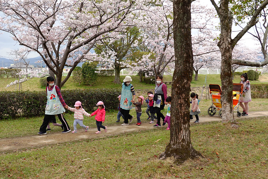 「多布施川の桜」ー佐賀市鍋島蛍川橋付近にてー_c0014538_19321438.jpg