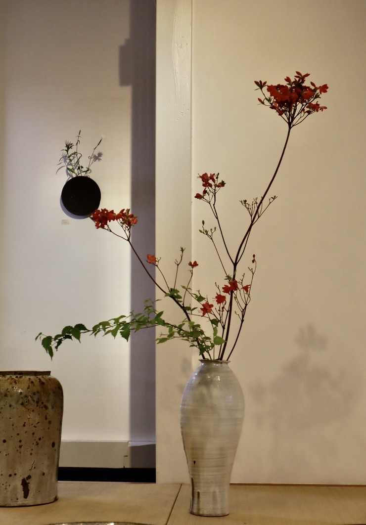 山田隆太郎展 明日からです 4月20日(水)~25日(月)_b0132442_17531276.jpeg