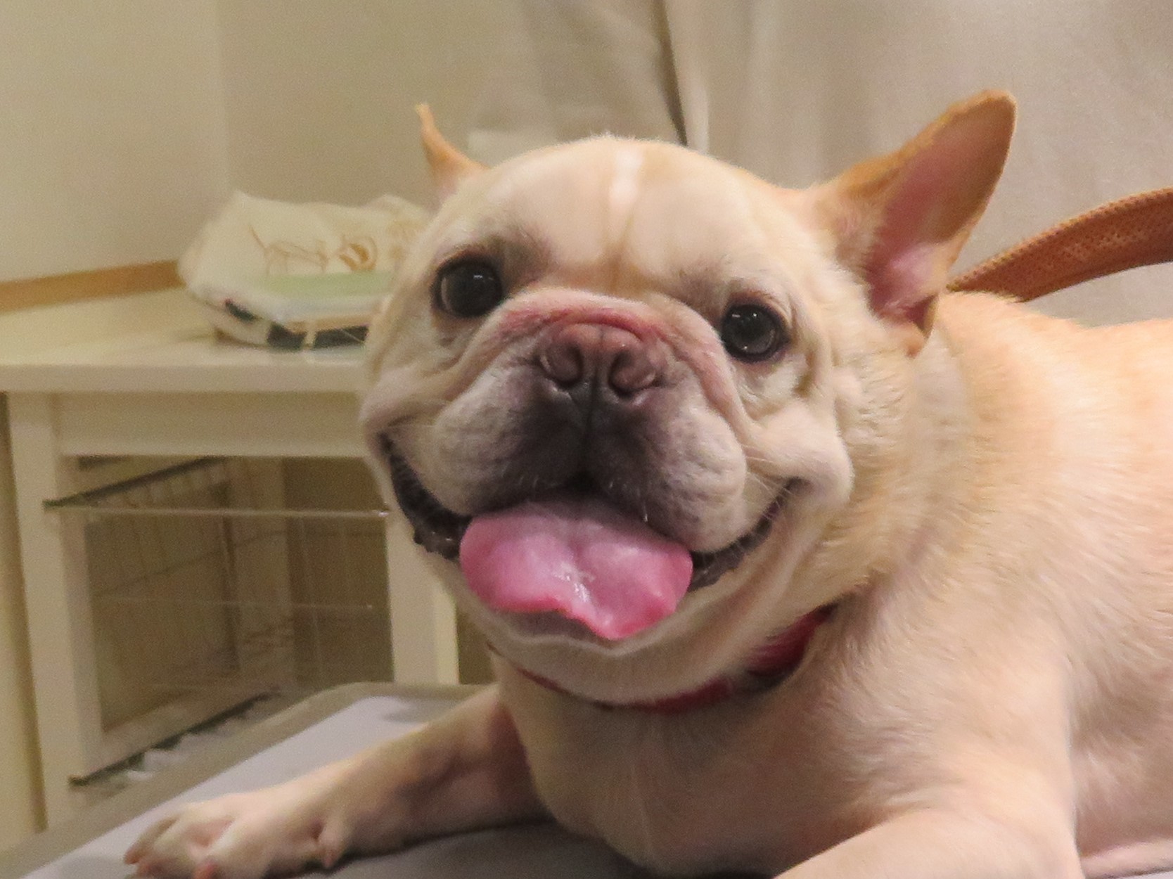 4 月 19 日の写真_c0174644_13300115.jpg