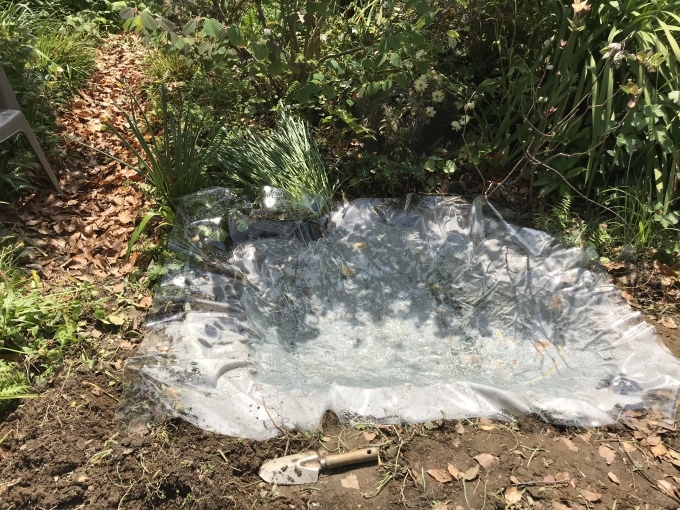 池Bを造り始めるのこと_d0101846_19331079.jpeg