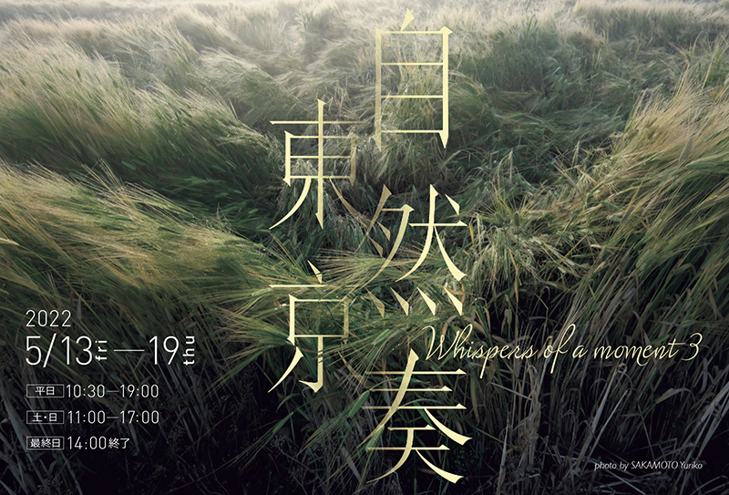 自然奏フォトグラファーズ 東京写真展 ―瞬の語らいⅢ―（東京）_c0142549_16280708.jpg