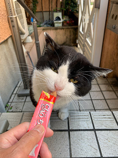 おはようイカスミ_a0028451_12575337.jpg