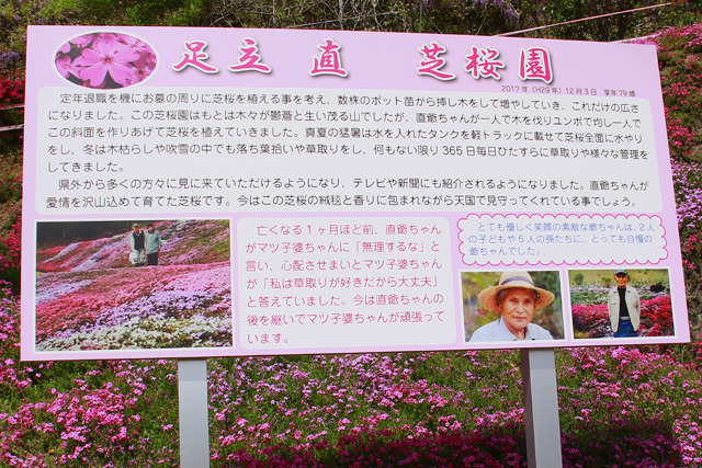 足立直　芝桜園　　　　22/04/19_d0126577_20583203.jpg