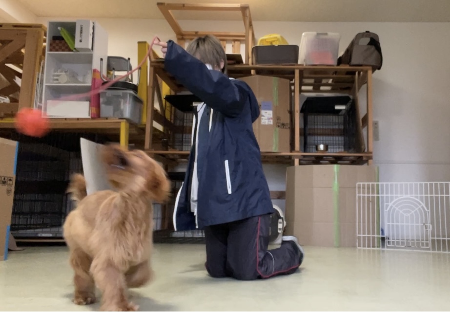 トレーニングブログ_f0357682_03245628.jpeg