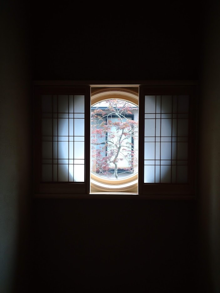 半月見ない間に_f0197985_12500864.jpg