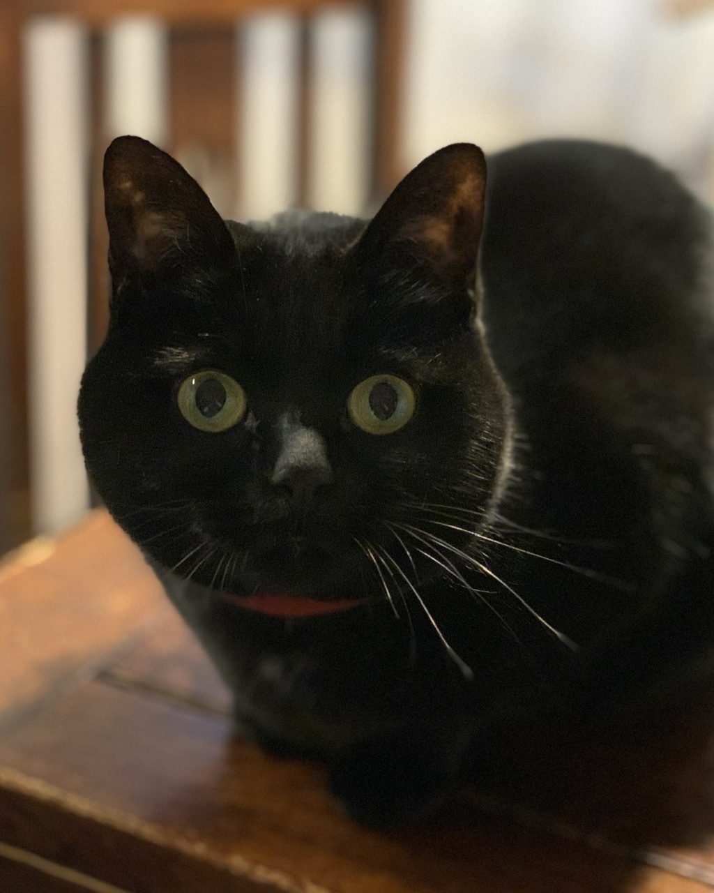 ベスト２_e0358096_20192756.jpeg