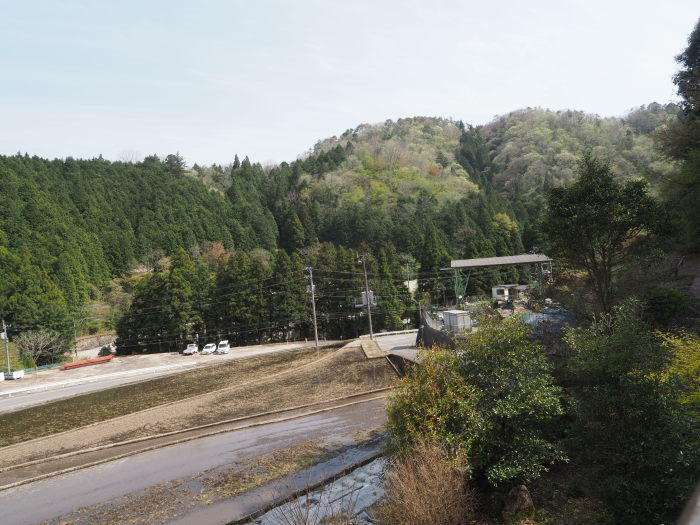 田んぼと畑_c0116915_00344283.jpg