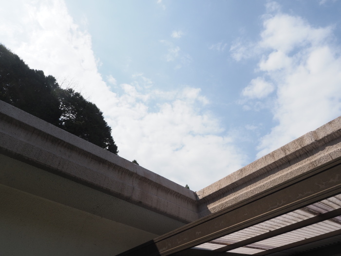 田んぼと畑_c0116915_00350997.jpg