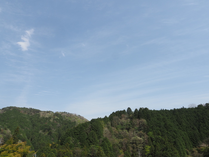 田んぼと畑_c0116915_00353353.jpg