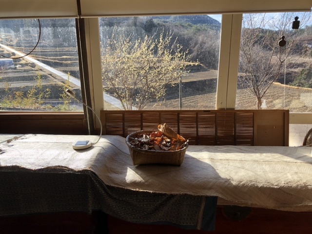 長野県伊那市〜島るり子さんを訪ねて_d0136540_03501219.jpeg