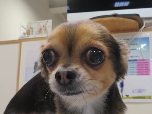 4月 20日の写真_c0174644_20040141.jpg