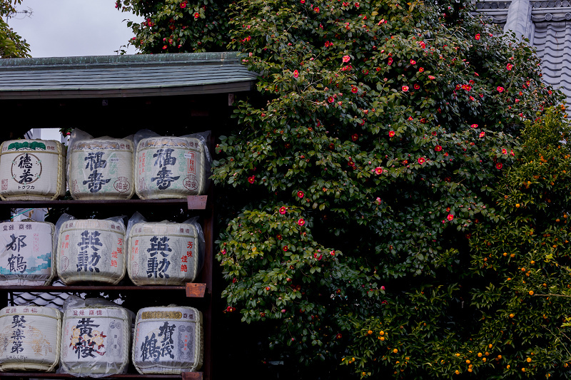 梅咲く京都　梅宮大社の梅三昧_f0155048_23072700.jpg