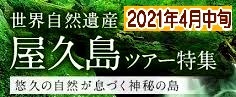 <2021年4月中旬>世界遺産「屋久島」の旅:④(島内周遊・観光編)_c0119160_10543187.jpeg