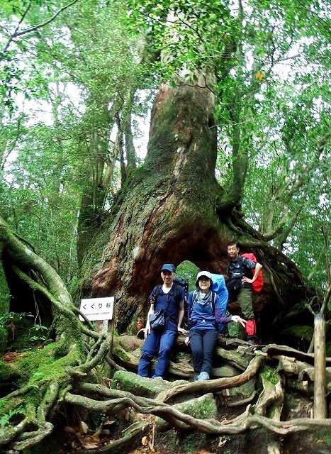 <2021年4月中旬>世界遺産「屋久島」の旅:④(島内周遊・観光編)_c0119160_11110013.jpg