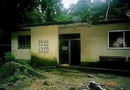 <2021年4月中旬>世界遺産「屋久島」の旅:④(島内周遊・観光編)_c0119160_11121047.jpg