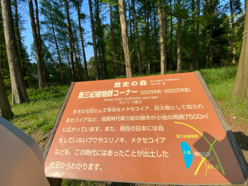 長居植物園_e0136066_23325632.jpg