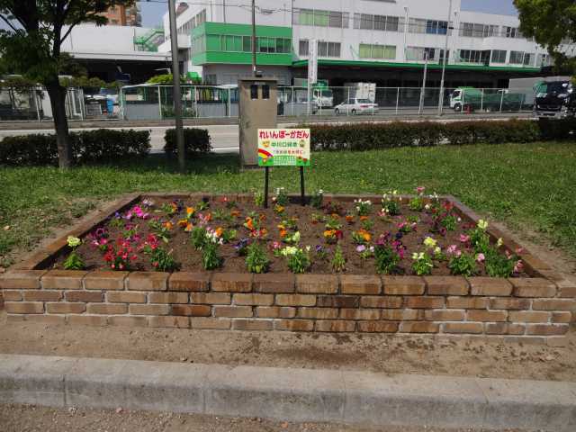 港保育園の子ども達と大手銀杏の会の皆さんとの花の植替_d0338682_14323826.jpg