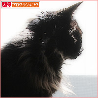 夏を呼ぶのは_a0389088_17365081.jpg