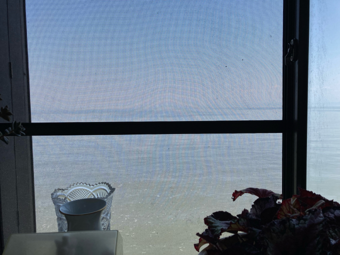 私的ブログ…海の青さに映える赤…^_^編。_d0132688_19523156.jpg