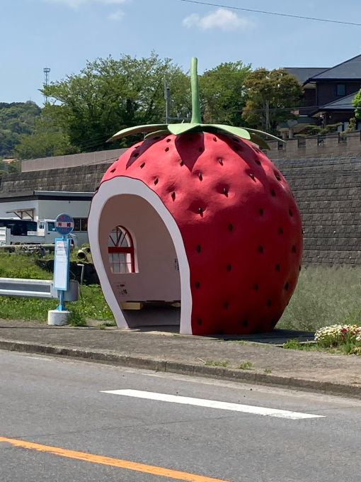 私的ブログ…海の青さに映える赤…^_^編。_d0132688_20065809.jpg