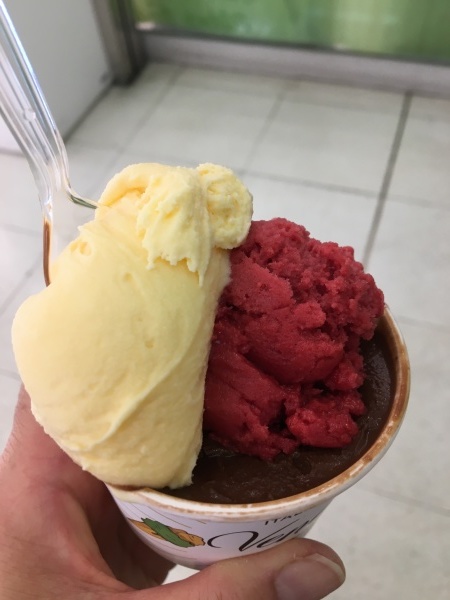 そごう  ヴェンキでジェラート_b0417696_20584374.jpeg