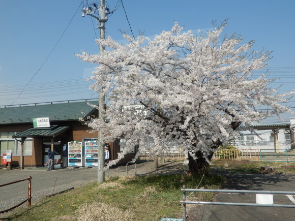 2019年以来の盛岡ナウ_c0025115_20373925.jpg