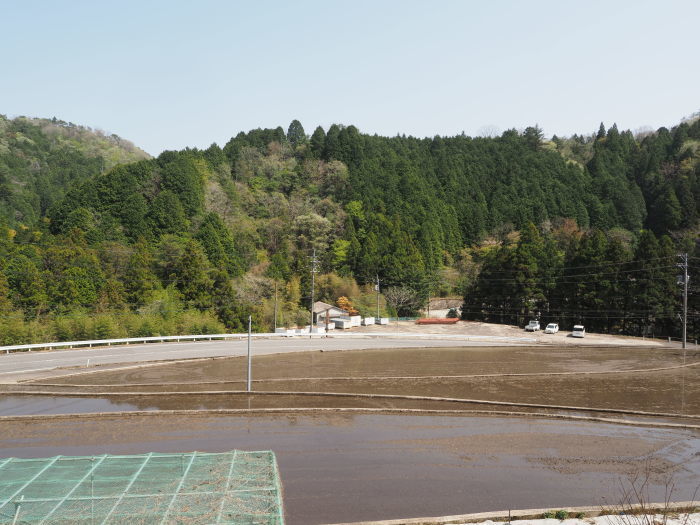 快晴_c0116915_00134617.jpg