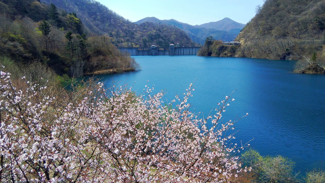 ターコイズブルーの美しさと水没林♪・・・四万川ダム奥四万湖へ行って来た。_a0031821_17360085.jpg