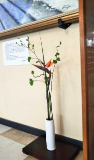 バラエティ_c0165824_22562204.jpg
