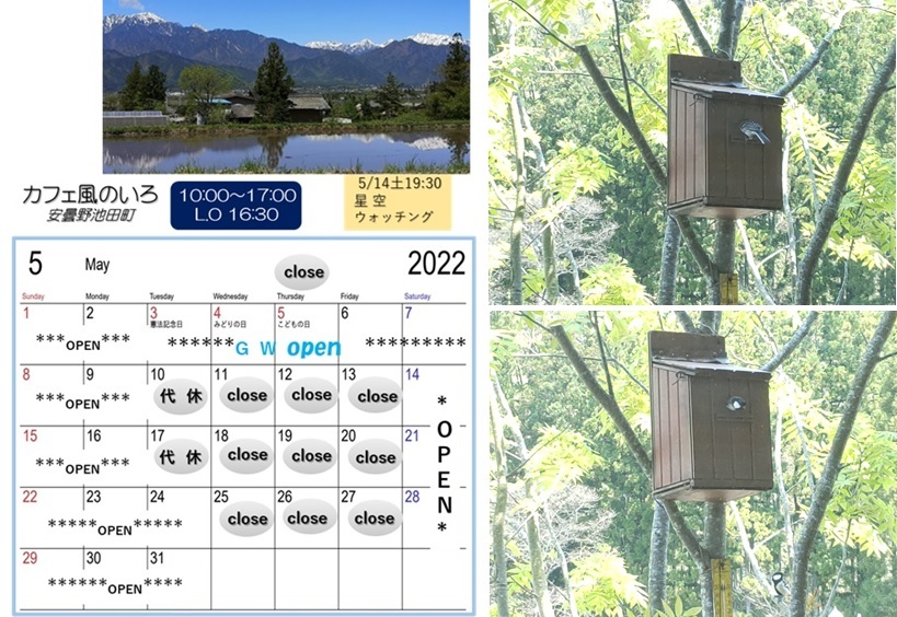 5月のカレンダー_a0212730_20122625.jpg