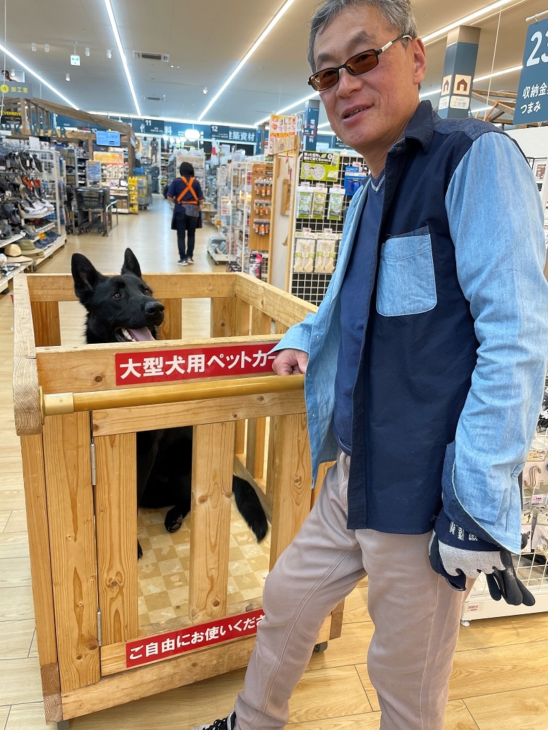 中毒になるクルマ_f0076731_19482853.jpg